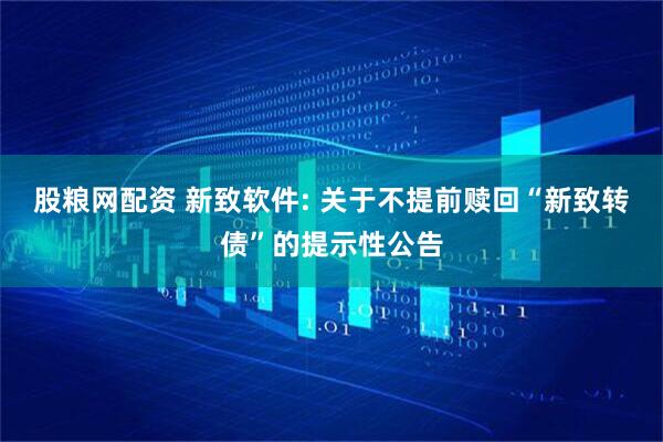 股粮网配资 新致软件: 关于不提前赎回“新致转债”的提示性公告